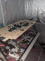 PXL_20230806_185424457.jpg