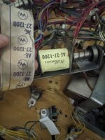 PXL_20230808_191156318.jpg