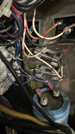 IMG_9146.jpeg