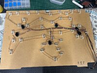 IMG_6899.jpeg