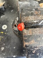 IMG_7764.jpeg