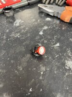IMG_7768.jpeg