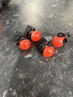 IMG_7781.jpeg