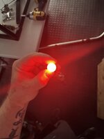 IMG_7779.jpeg