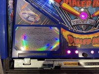 IMG_3186.jpeg