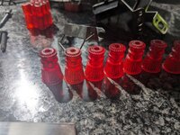 PXL_20230812_101033855.jpg
