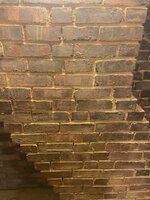 IMG_1369.jpg