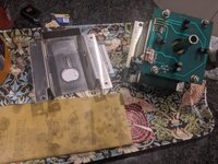 PXL_20230818_204525295.jpg