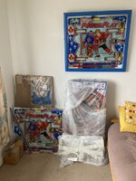 1 New playfield & Plastics.JPG