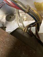IMG_0729.jpeg
