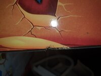 20230828_110820.jpg