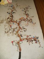 PC030524.JPG