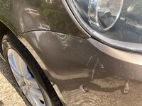 IMG_1441.jpeg IMG_1441.jpeg