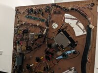 PXL_20230828_195849806.jpg