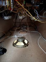 IMG_7054.JPEG