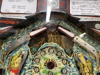IMG_7596.jpeg