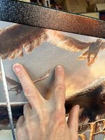 IMG_4785.jpeg