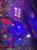 IMG_8916.jpeg