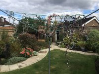 IMG_5283.jpeg