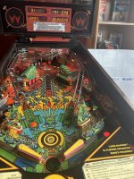 IMG_1079.jpeg