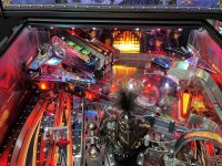 IMG_5025.jpeg