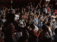 gif2.gif
