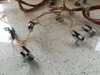 IMG_5415.jpeg