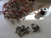 IMG_5416.jpeg