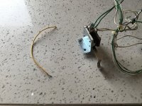 IMG_5421.jpeg