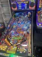 IMG_8995.jpeg