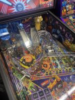 IMG_9003.jpeg