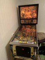 IMG_2403.jpeg