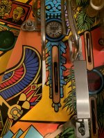 IMG_2391.jpeg