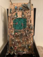 IMG_2395.jpeg