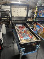IMG_3667.jpeg