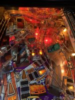 IMG_3519.jpeg