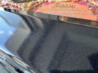 IMG_7244.jpeg