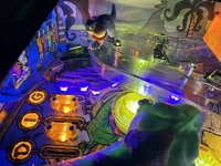 IMG_7260.jpeg