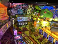IMG_7262.jpeg
