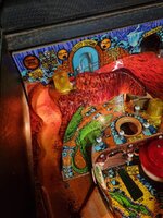 20231115_111235.jpg