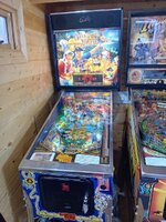 20231105_133607.jpg