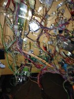 IMG_3724.JPG