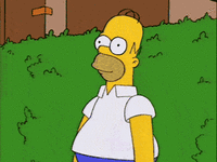 gif hidinghomer.gif