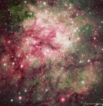gif cat in space on taco.gif