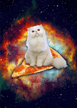 gif cat in space on pizza.gif