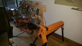 IMAG0415.jpg
