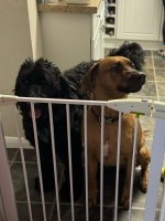 IMG_3349.jpeg