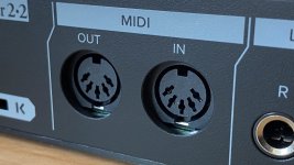 Midi in.jpg