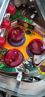 20231016_120216.jpg
