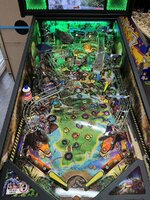 IMG_5389.jpeg